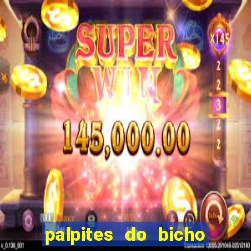 palpites do bicho no celular